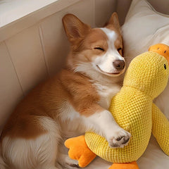 Dog Calming Duck, 2026 Yellow Duck Dog Toy, The Mellow Ducks Calming Pillow, Dogs Ducks Toy with Quacking Sound for Indoor Dogs