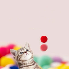 Interactive Cat Toy Gun: Engaging Laser Chase & Feathery Fun for Energetic Cats | Stimulates Play & Exercise