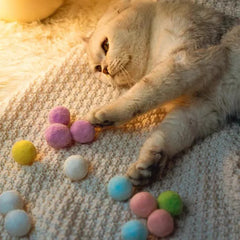 Interactive Cat Toy Gun: Engaging Laser Chase & Feathery Fun for Energetic Cats | Stimulates Play & Exercise