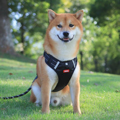 Nylon Dog Harness No Pull Breathable Reflective Pet Harness Vest For Small Large Dog Outdoor Running Dogs Training Accessories
